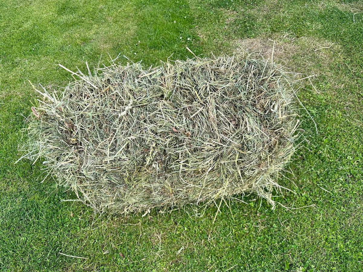 SOFT HAY 14 KG FOR RODENTS AND RABBITS FROM FARMER 14KG Product weight 10 kg