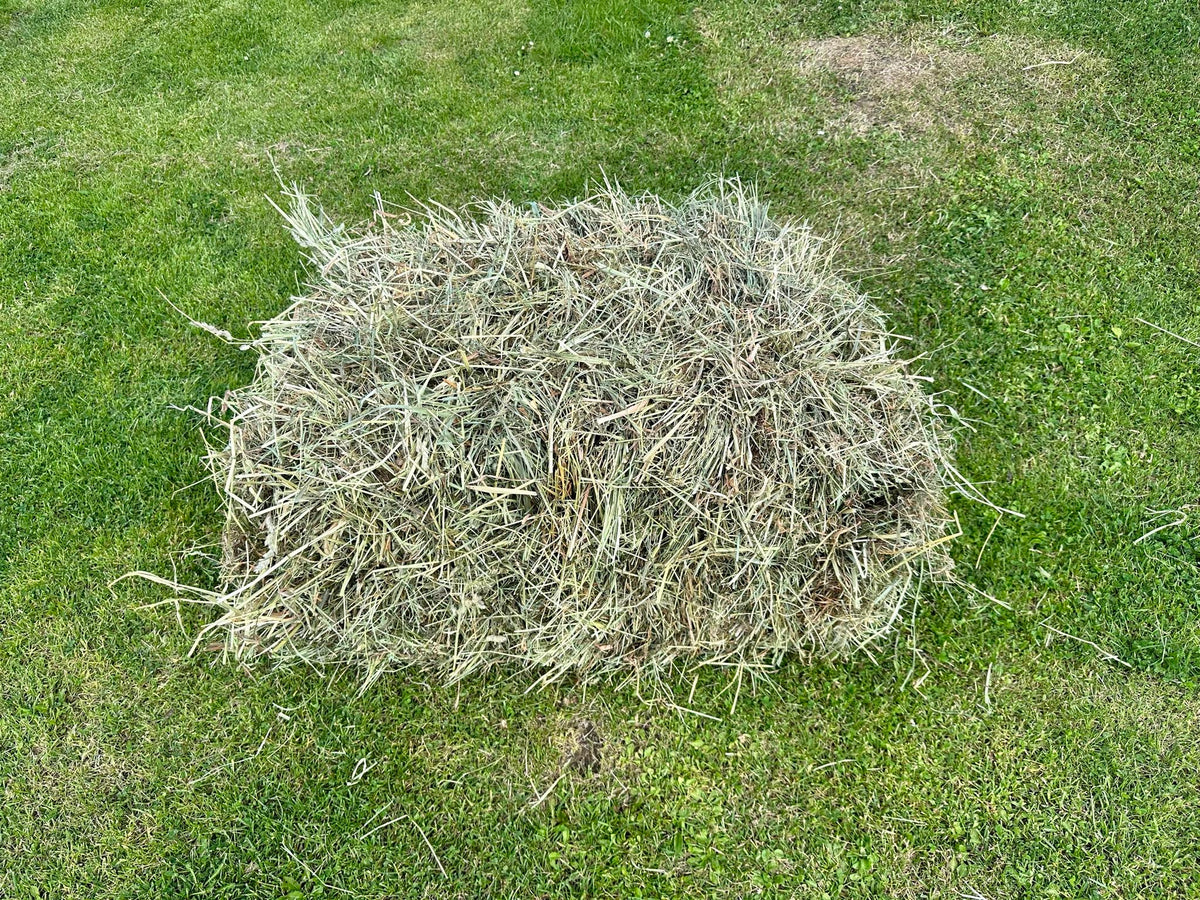 SOFT HAY FOR RODENTS AND RABBITS 4kg 4kg Manufacturer code 5905973198530