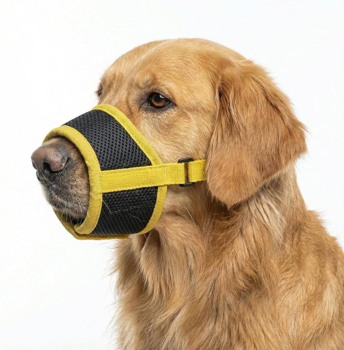 SOFT MUZZLE FOR SMALL DOGS, ADJUSTABLE STRAP MADE OF BREATHABLE MESH, BE