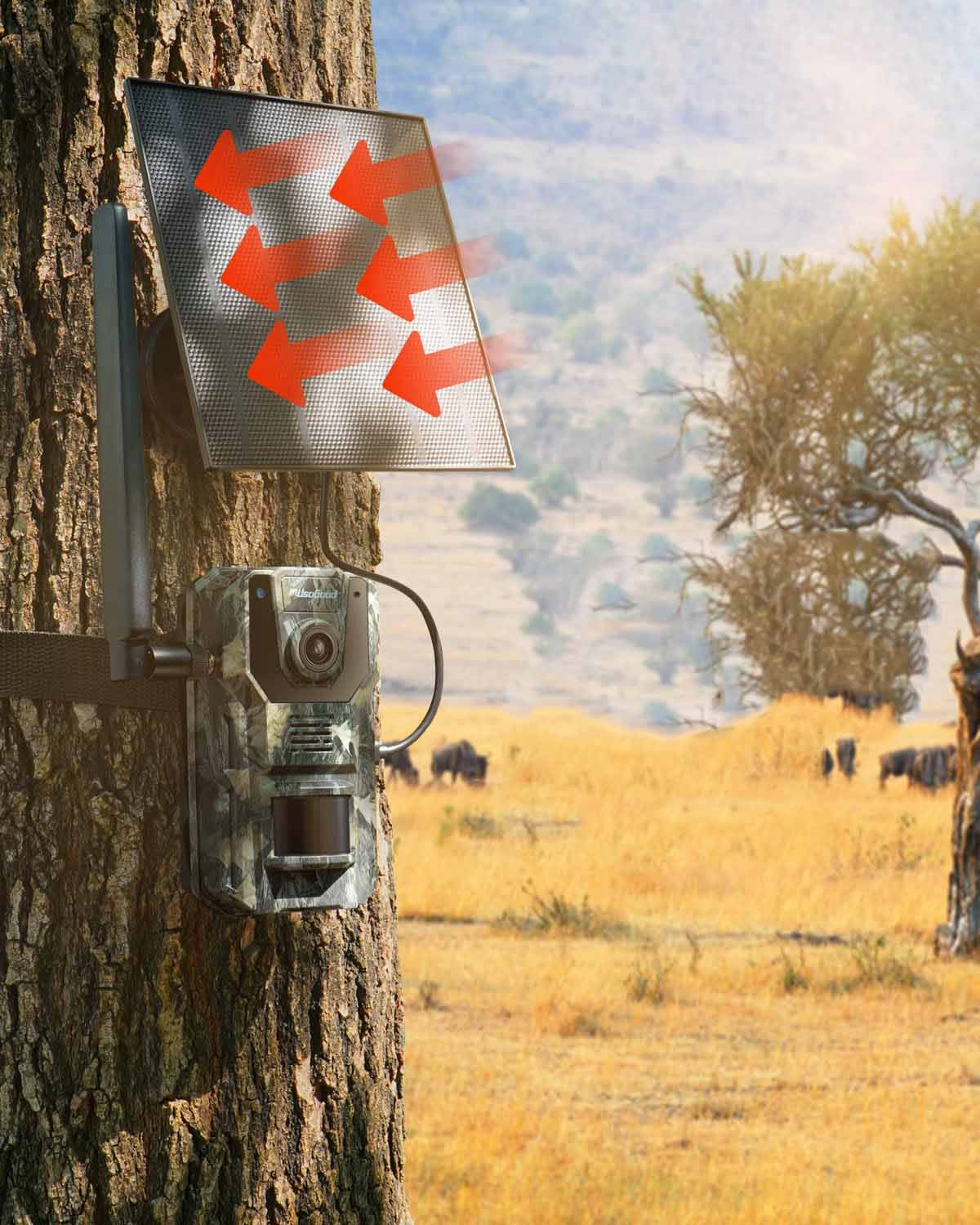 SOLAR CAMERA OUTDOOR ROTATING PHOTOTRAP 4G Manufacturer code FOTOPUŁAPKA KAMERA SOLARNA 4G