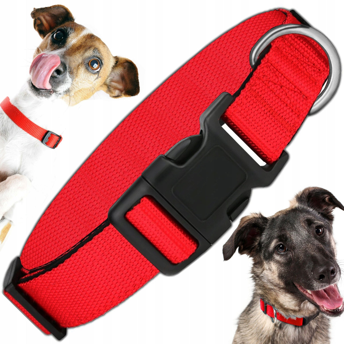 SOLID COLLAR FOR DOG STRONG ADJUSTABLE WEBBING FOR LEASH 30-45cm M