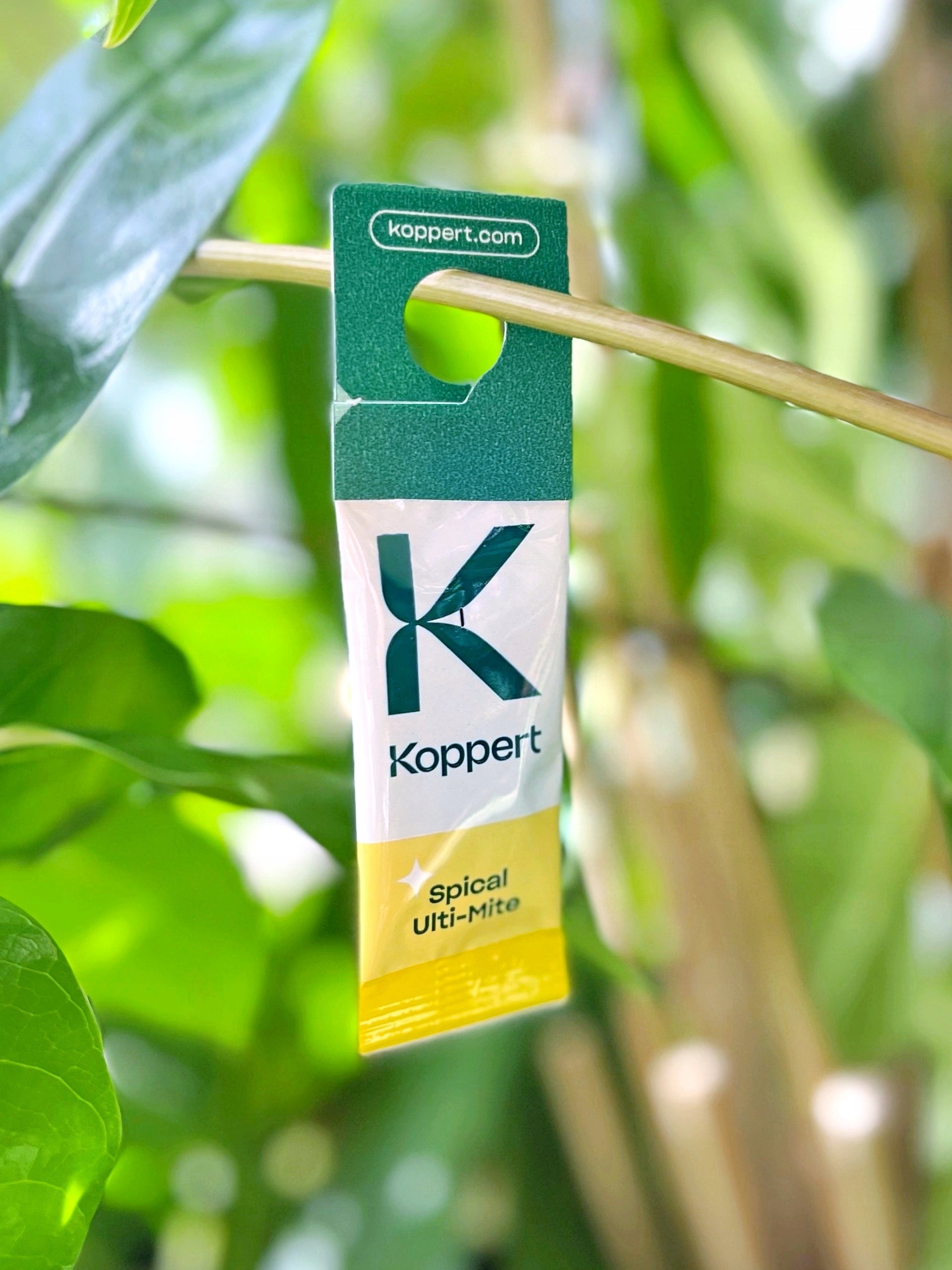 SPICAL Ulti-Mite 10pcs Sachet ANTI SPRAYING FOR SPIDER MITES Beneficial BIO Packaging status original