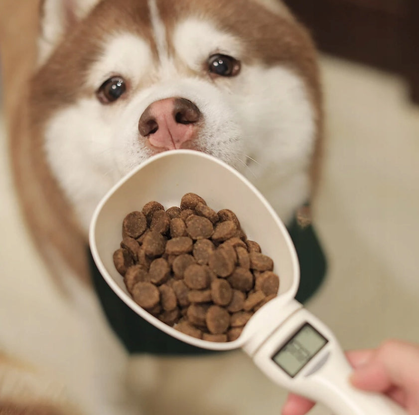 SPOON WEIGHT WITH MEASURING CUP FOR FOOD 800g FOR DOG CAT 800G Brand Regmag