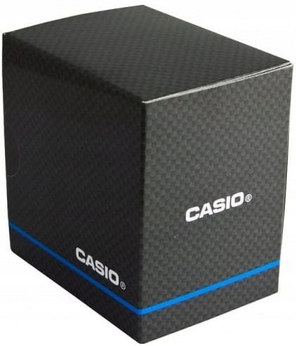 Herrenuhr Casio WS-1500H-2AVEF 