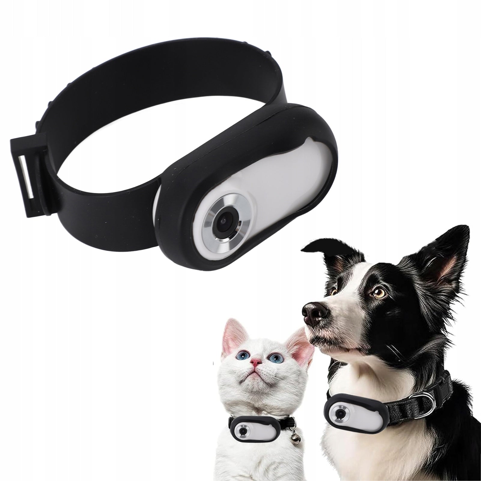 SPORTS CAMERA DOG AND CAT RECORDER HIGH RESOLUTION