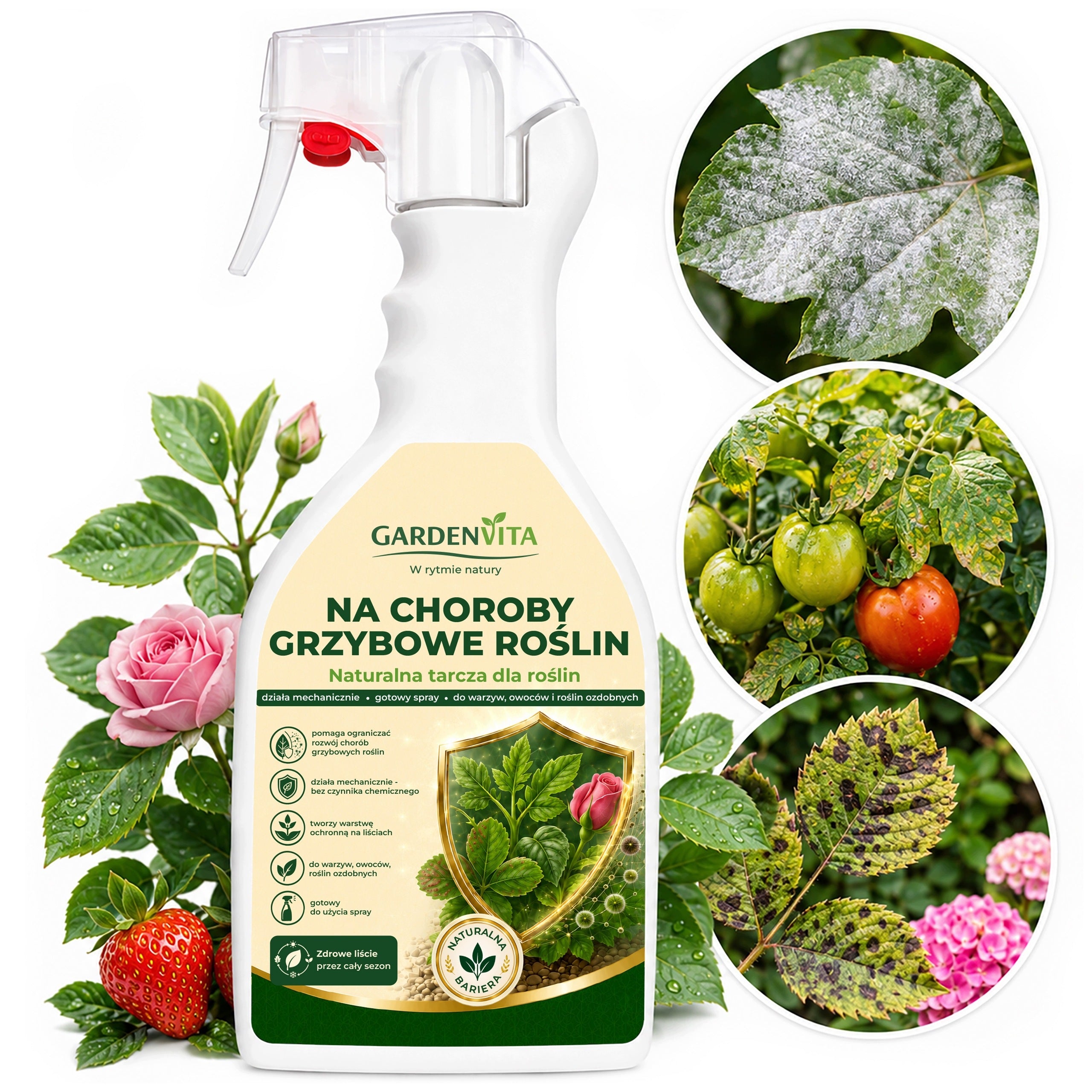 SPRAY PREPARATION FOR POWDERY MILDEW REAL AGENT FOR ROSES CUCUMBERS TOMATOES