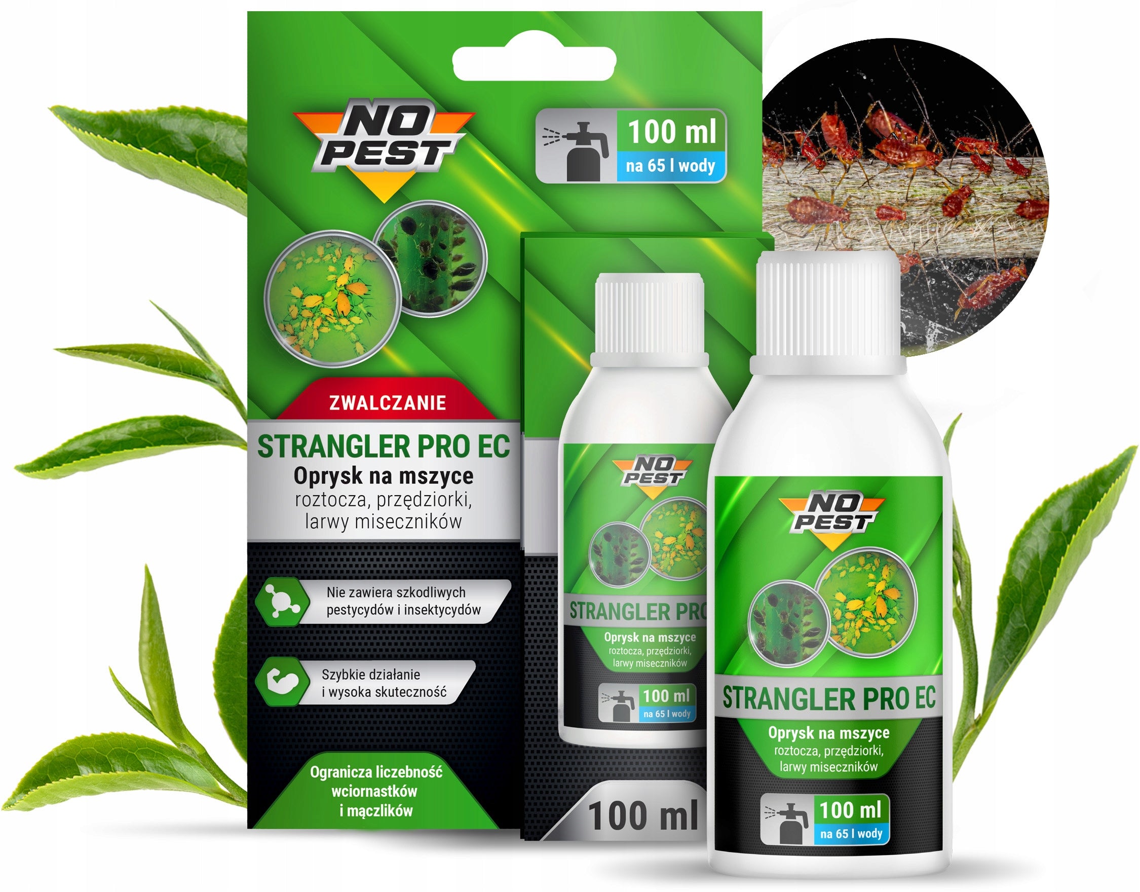 SPRAYING PREPARATION LIQUID AGENT ON APHID SPIDER MITES NO PEST 100ML Weight 0.1 kg