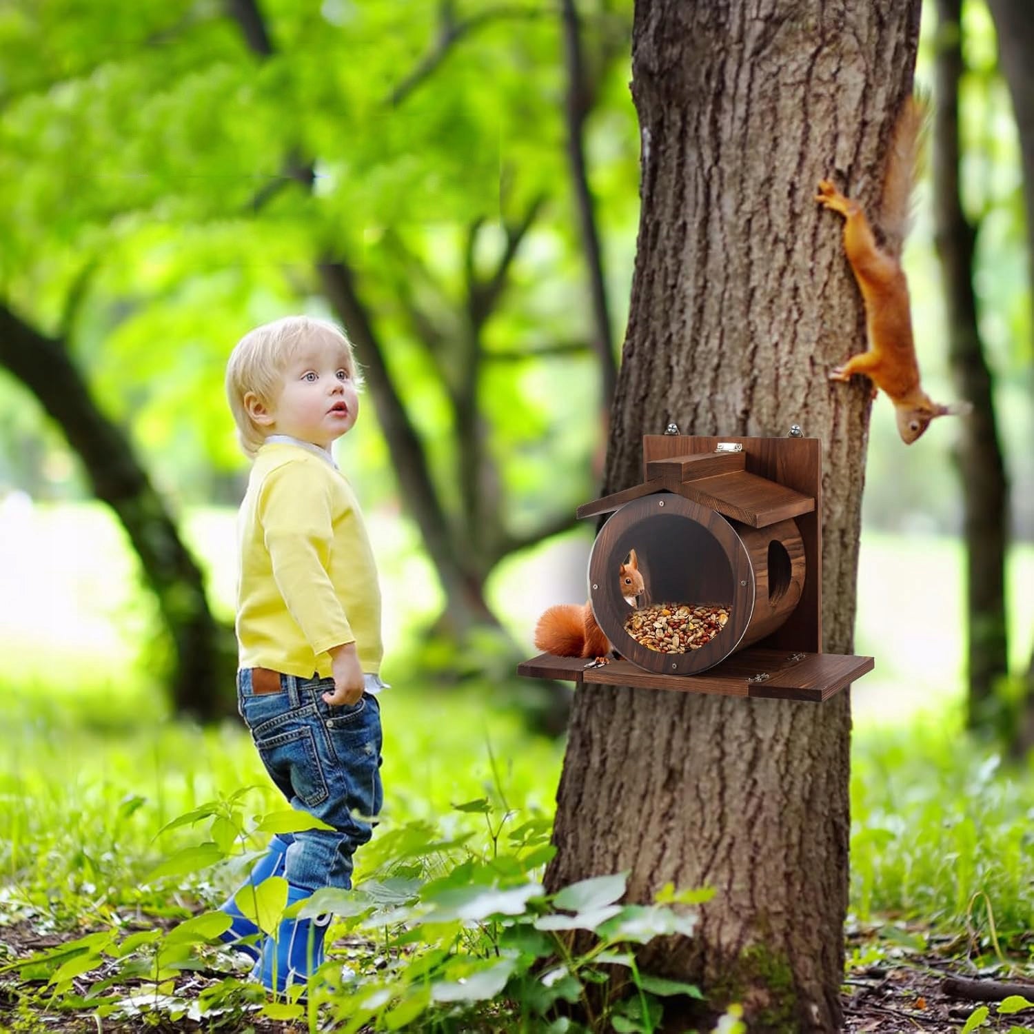 SQUIRREL HOUSE WOODEN FEEDER FOR SQUIRREL OPENING ROUND Manufacturer no brand