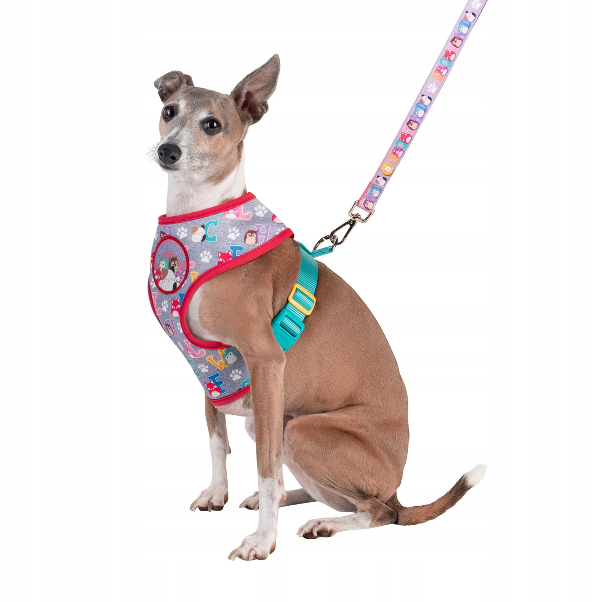 SQUISHMALLOWS Squad Goals Adjustable Dog Harness Size L