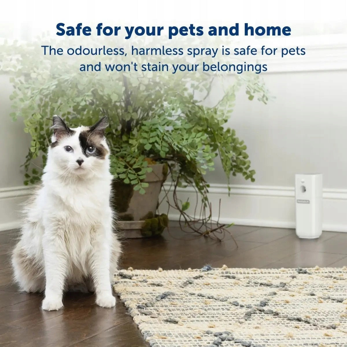 Katzenvertreiberspray mit Bewegungssensor Ssscat 