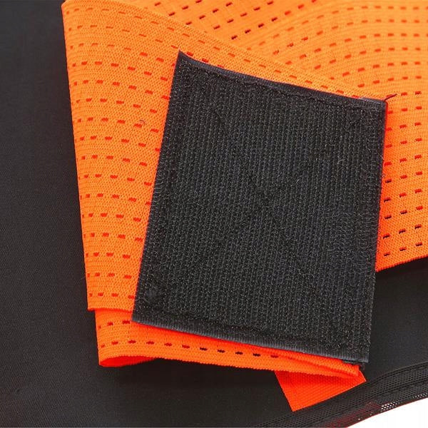 STABILIZING BELT HMS PS121 SIZE L/XL Accessories in the set none