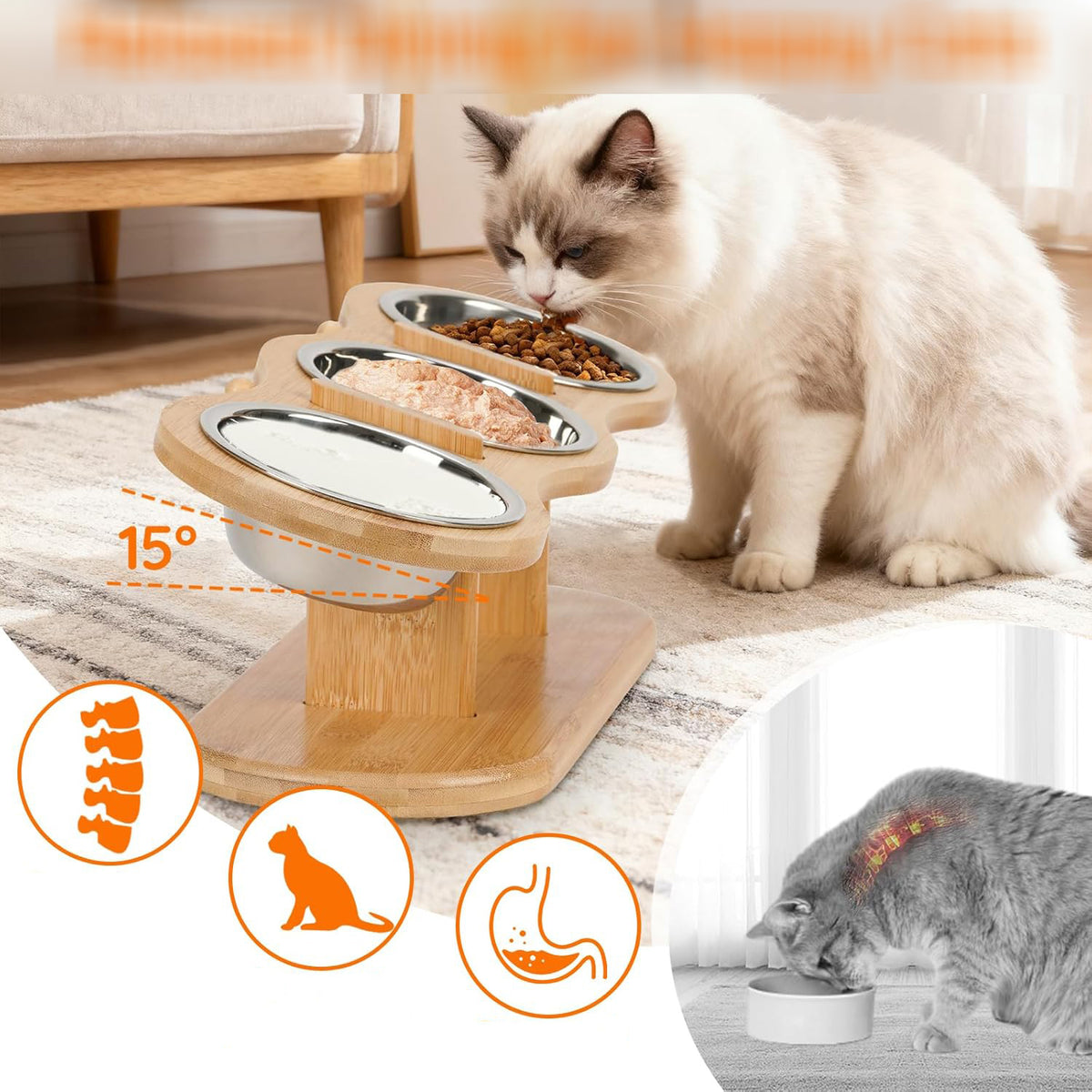 STAINLESS STEEL CAT BOWLS, ELEVATED CAT FEEDING BOWL Brand no brand