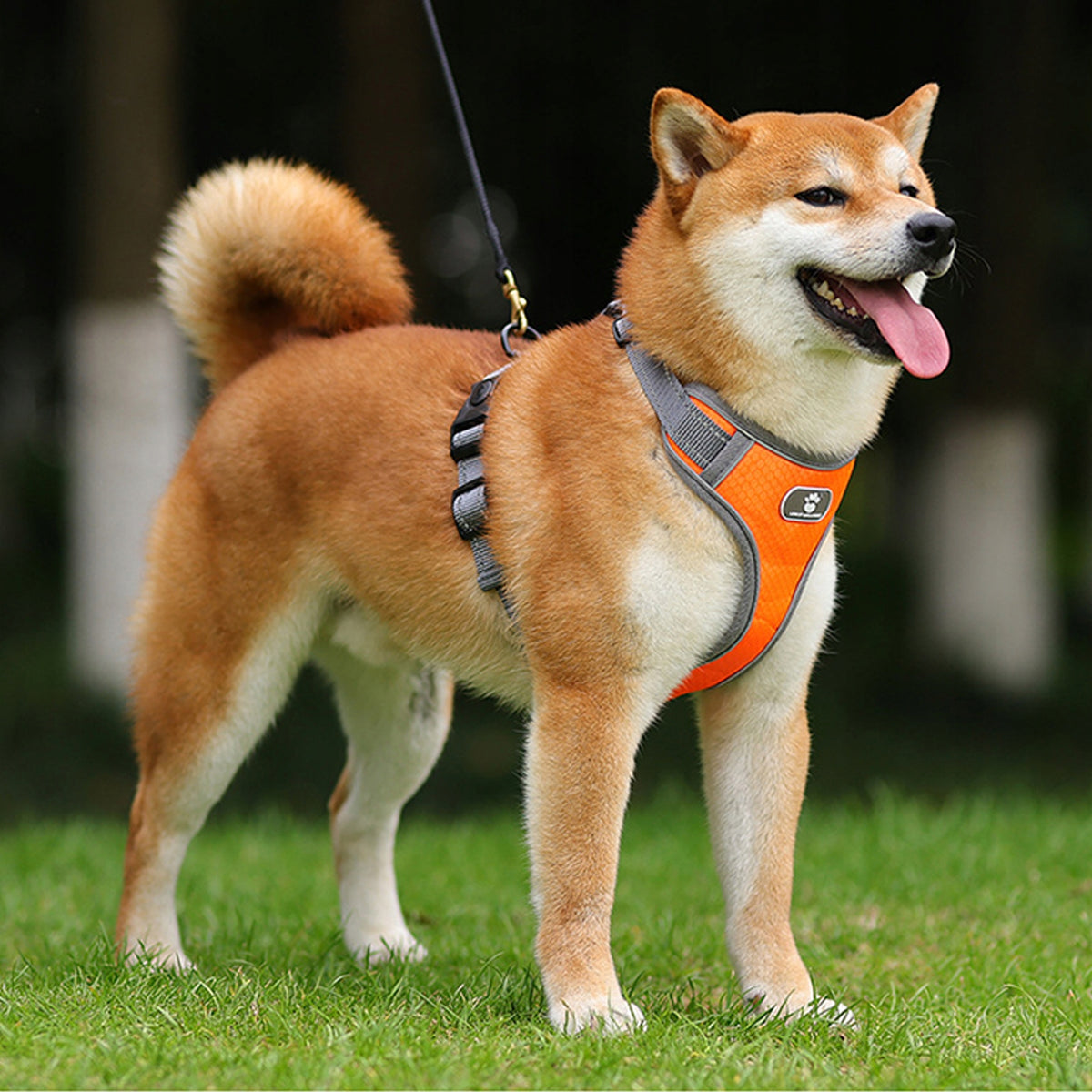 STEP IN DOG HARNESS ADJUSTABLE STRONG PRESSURE-FREE COMFORTABLE DECENT M Manufacturer code UI67UU5Y4535