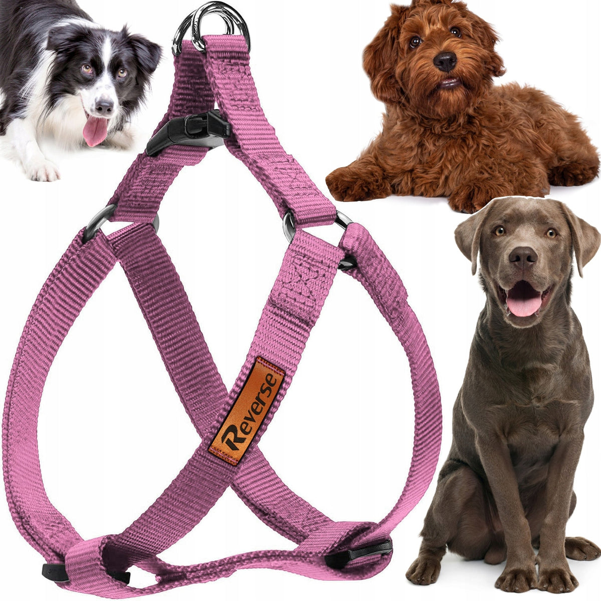 STEP IN DOG HARNESS ADJUSTABLE STRONG PRESSURE-FREE COMFORTABLE DECENT Roz XL