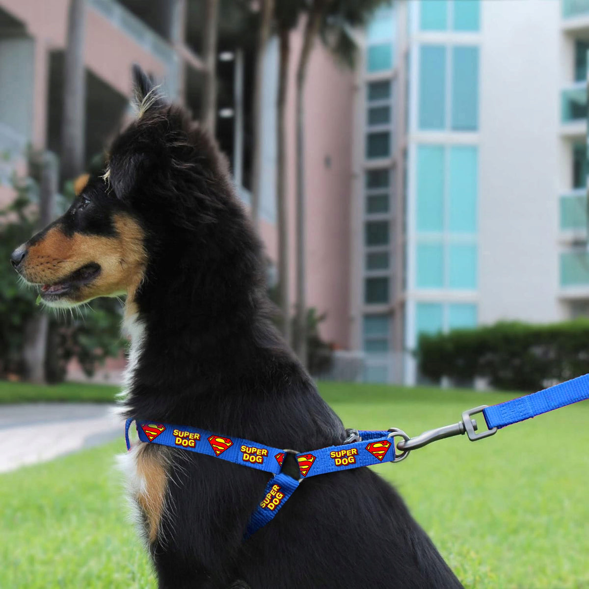 STEP IN HARNESS FOR DOG ADJUSTABLE STRONG PRESSURE-FREE DECENT SUPER ros. L Brand Reverse