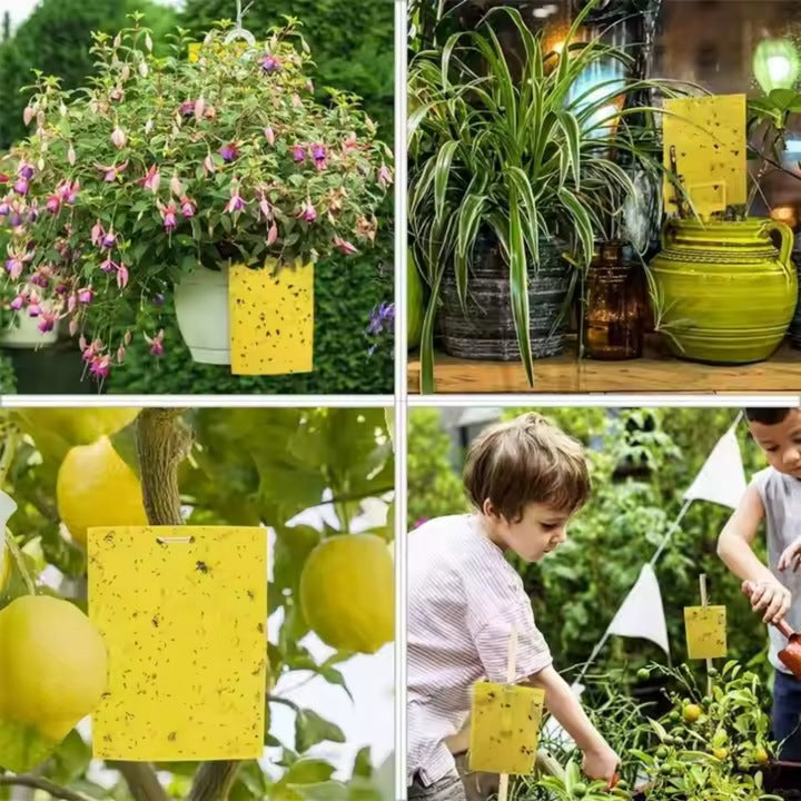 STICKY YELLOW FOR EARTHWORMS INSECTS FRUIT FLIES FOR POTS SET OF 20PCS Manufacturer code R251231504