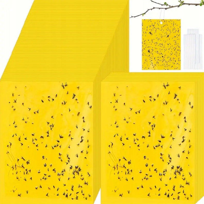 STICKY YELLOW FOR EARTHWORMS INSECTS FRUIT FLIES FOR POTS SET OF 20PCS Packaging status original
