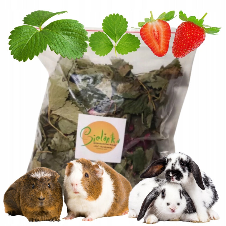 STRAWBERRY LEAF 150g IDYLLIC LEAVES STRAWBERRY WITH ROSE FLOWER HERBS