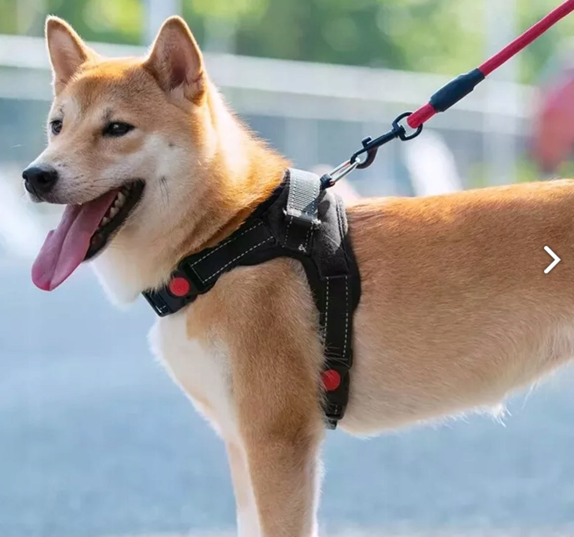 STRONG AND LIGHTWEIGHT PRESSURE-FREE DOG HARNESS BLACK L Brand Hurtnet