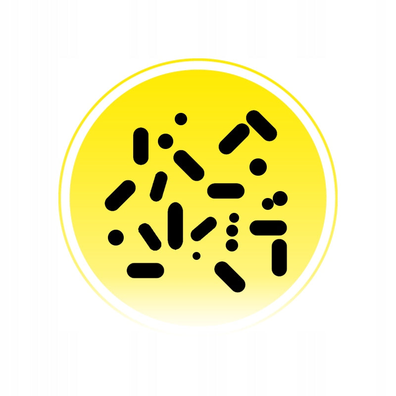 STRONG BACTERIA FOR SEPTIC TANK SANIDENN Plus REMOVES Smell Fat Sheepskin for YEAR Manufacturer Biobakt