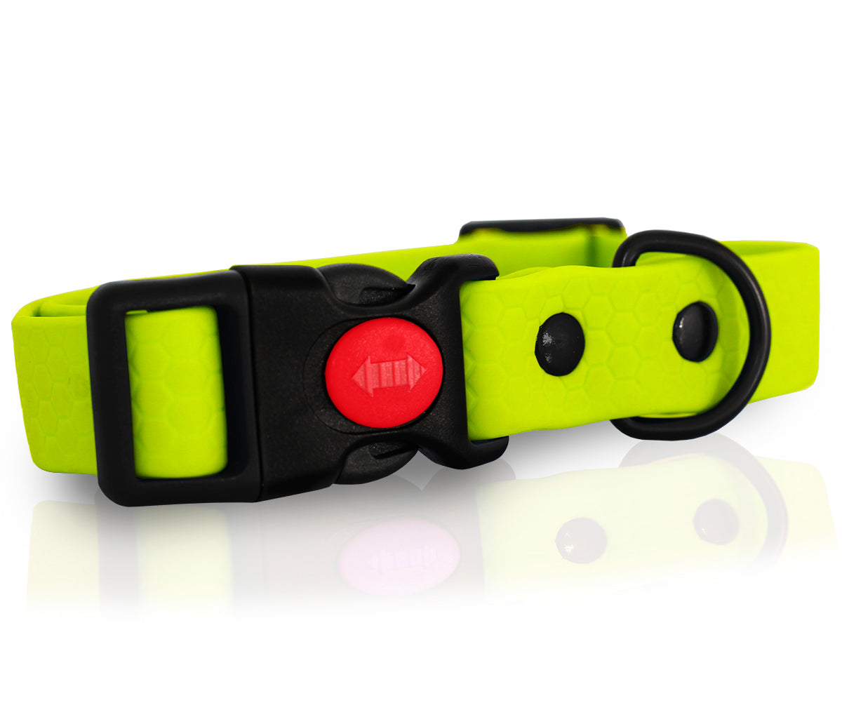 STRONG BIOTHANE DOG COLLAR, ADJUSTABLE, 20-30 cm W Brand Reverse