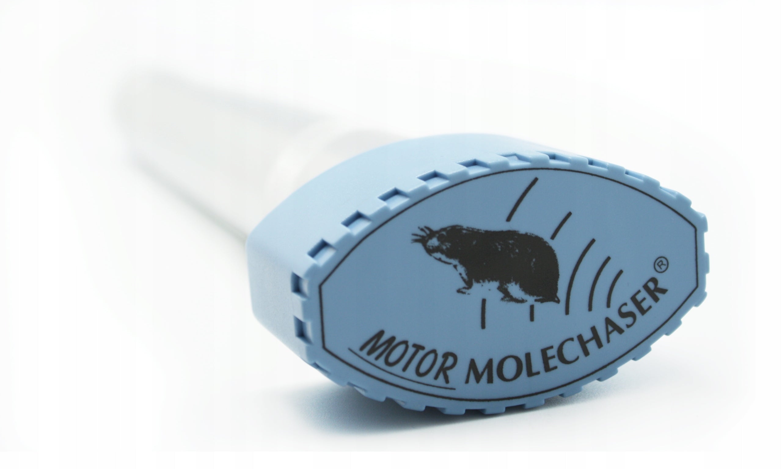 STRONG DETERRENT OF SNAKE VOLES MOLES VIPER MOLES RODENT VOLES Use Against moles