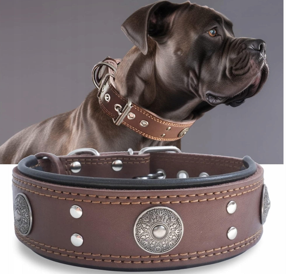 STRONG DOG COLLAR GENUINE LEATHER 5CM SIZE L HANDMADE Packaging status original