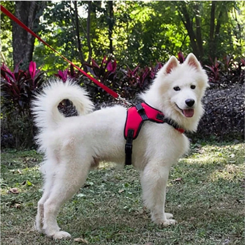 STRONG DOG HARNESS Light and pressure-free L 64-84cm PETSTORY (Black) Size L