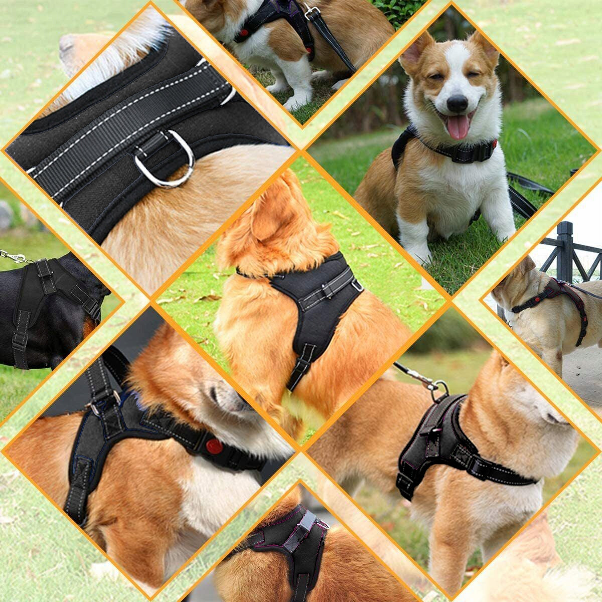STRONG DOG HARNESS PRESSURE-FREE ADJUSTMENT M Kind walking harness
