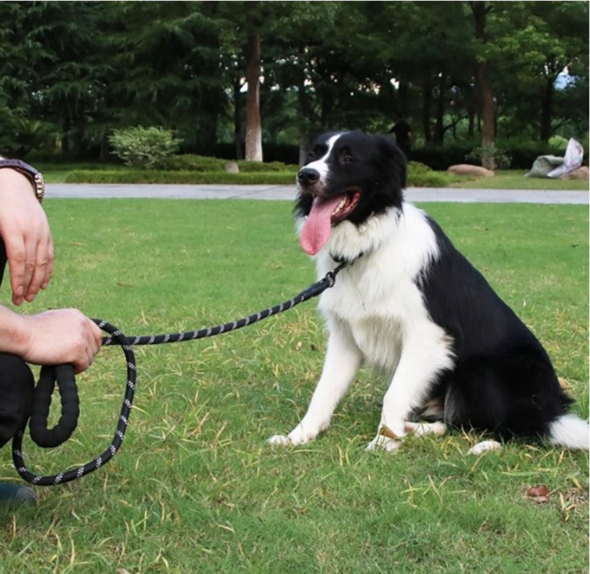 STRONG DOG LEASH 150CM RED FOAM HANDLE REFLECTIVE Packaging status original