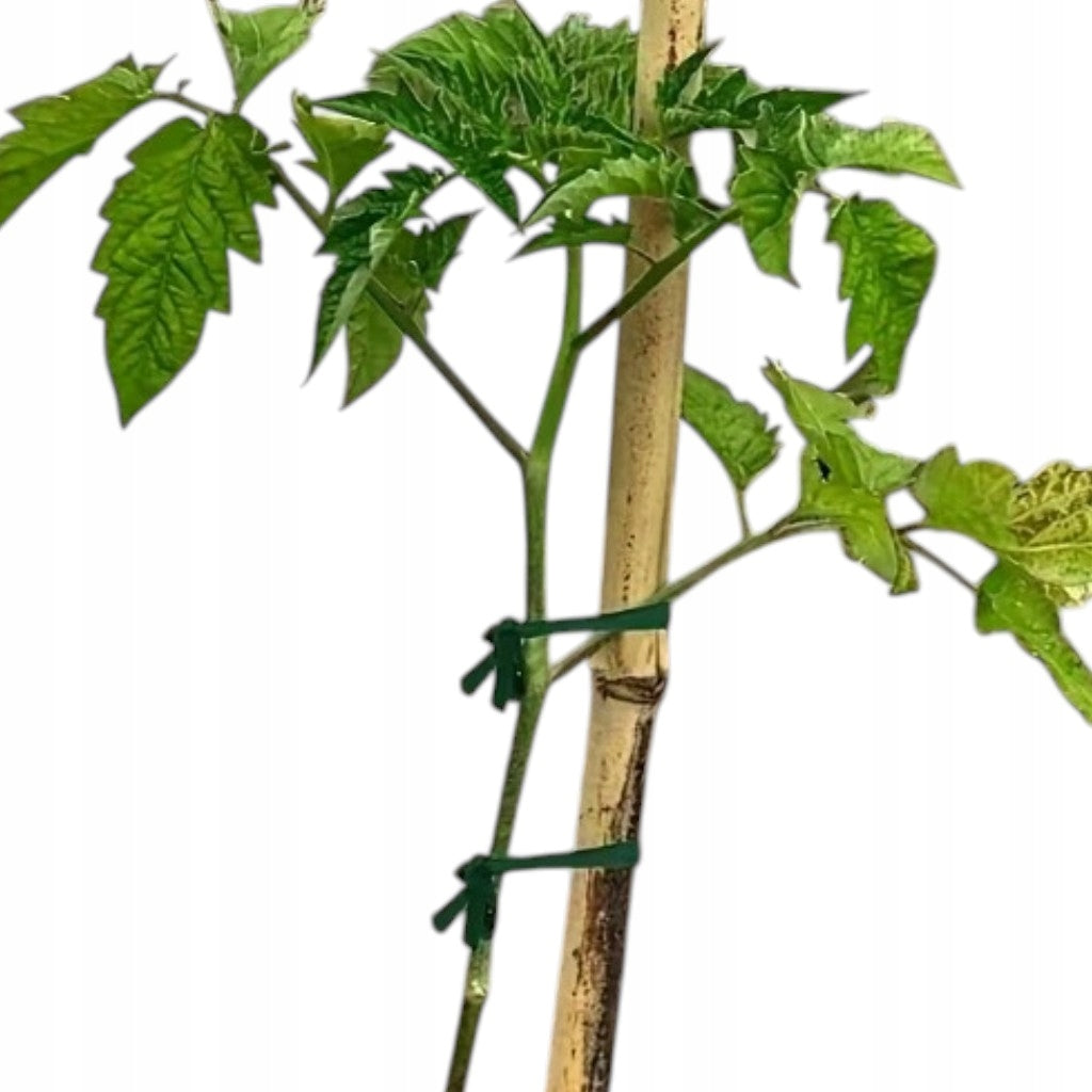 STRONG FABRIC GARDEN STRING FOR TYING PLANT TOMATOES 40 M Manufacturer code SZNUREK OGRODNICZY DO MOCOWANIA ROŚLIN P043