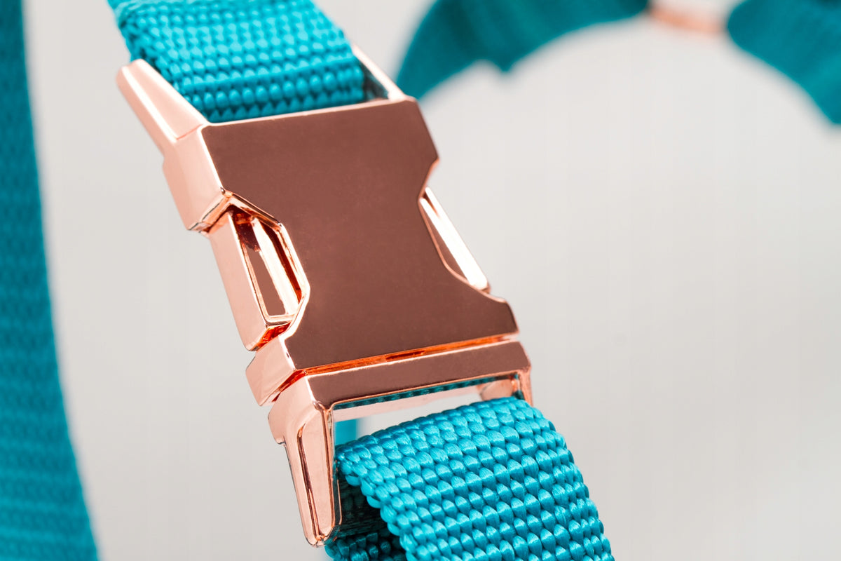 STRONG GUARD dog harness for walks TURQUOISE S Manufacturer code SZB-001