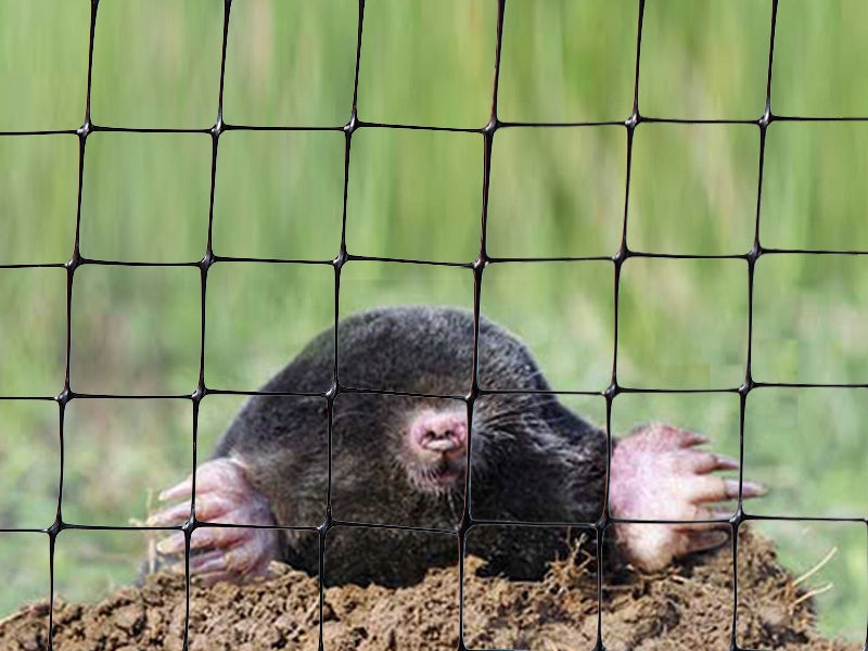 STRONG MOLE NET 1x10m VOLES AGAINST MOLES BLACK LAWN 30g/m2 Brand IMP