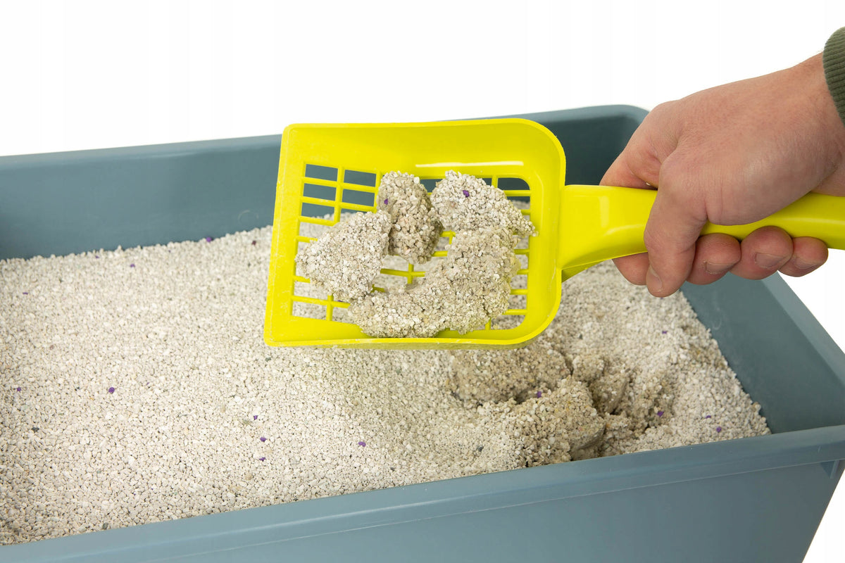 STRONG PETS CAT LITTER BENTONITE LAVENDER 20L Packaging status original