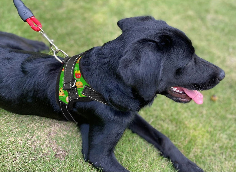 STRONG PRESSURE-FREE DOG HARNESS ADJUSTABLE COMFORTABLE LIGHTWEIGHT XL 74-94 Brand Reverse