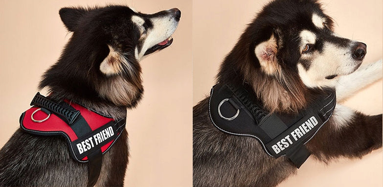 STRONG PRESSURE-FREE DOG HARNESS M 50-62 + ENGRAVING Manufacturer code SZELK-K9-3X