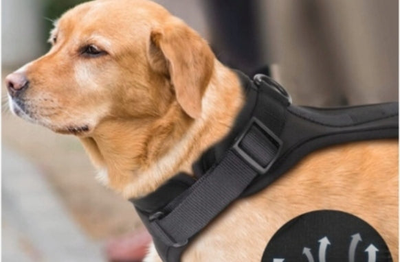 STRONG PRESSURE-FREE HARNESS FOR DOG WISEDOG ROZ. L Manufacturer code 2143231