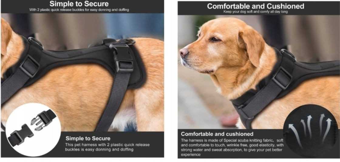 STRONG PRESSURE-FREE HARNESS FOR DOG WISEDOG ROZ. S Manufacturer code 214322323
