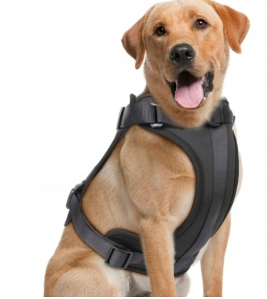 STRONG PRESSURE-FREE HARNESS FOR DOG WISEDOG ROZ. S