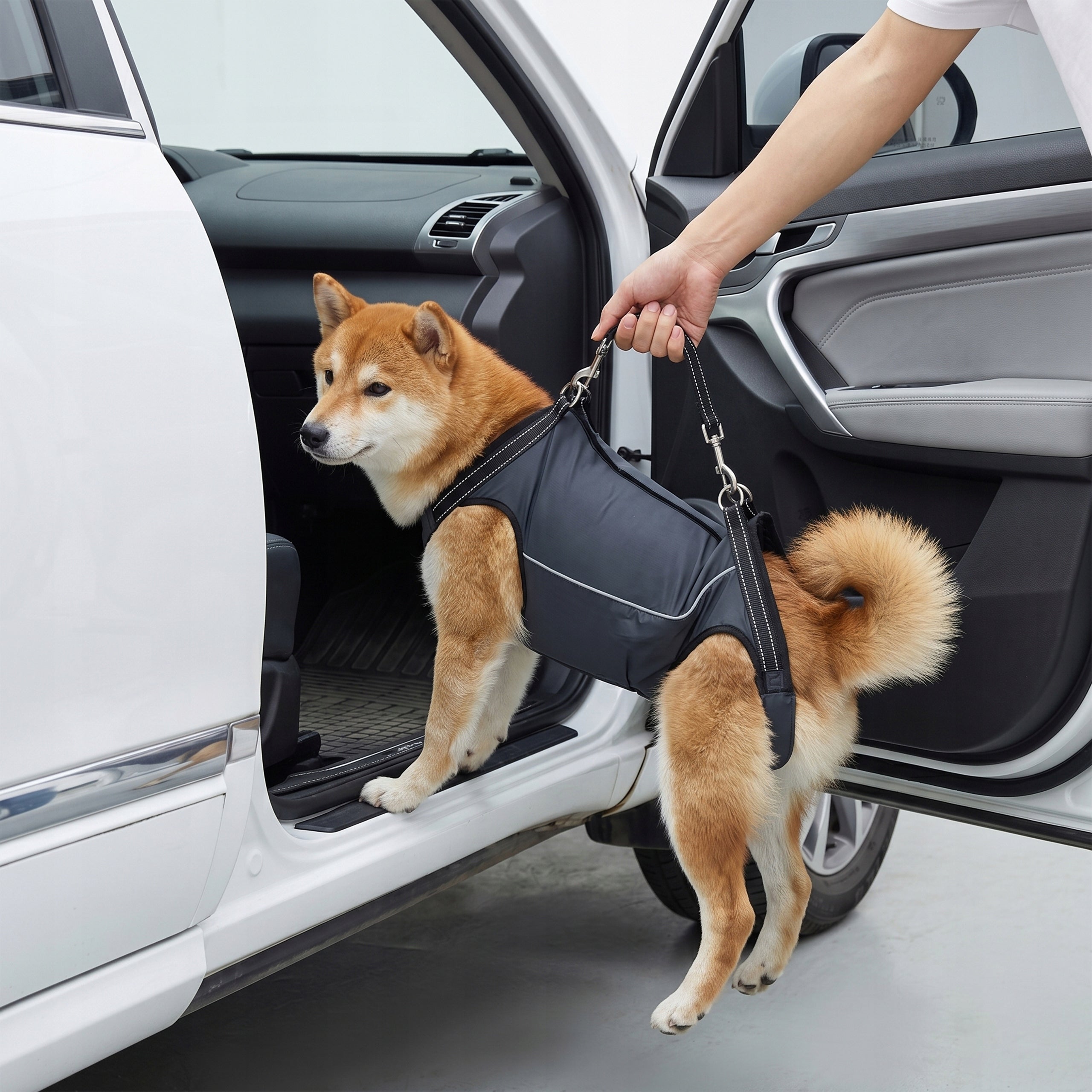 STRONG REHABILITATION HARNESS FOR DOG CARRIER LIFTING HARNESS S Brand no brand
