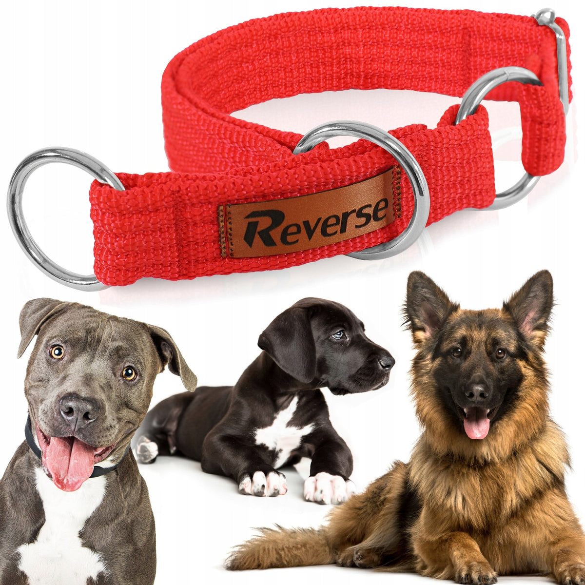 STRONG SEMI-CLAMP DOG COLLAR ADJUSTABLE WEBBING CLAMP 30-45 M