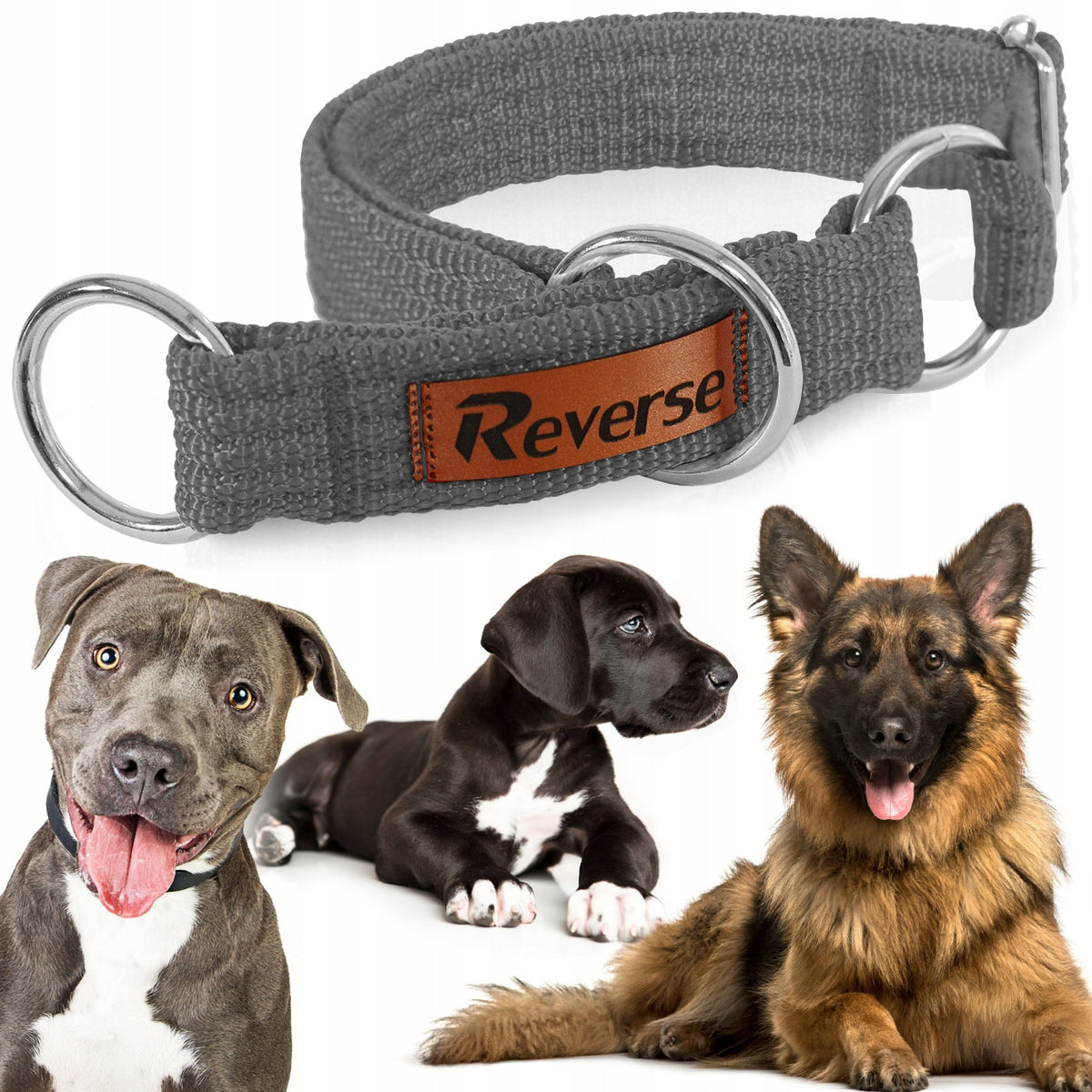 STRONG SEMI-CLAMP DOG COLLAR ADJUSTABLE WEBBING CLAMP 40-60 XL
