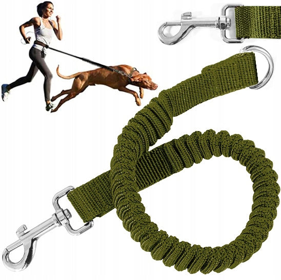 STRONG SHOCK ABSORBER FOR TRAINING LEASH FOR A PUTTING DOG FLEXIBLE LEASH