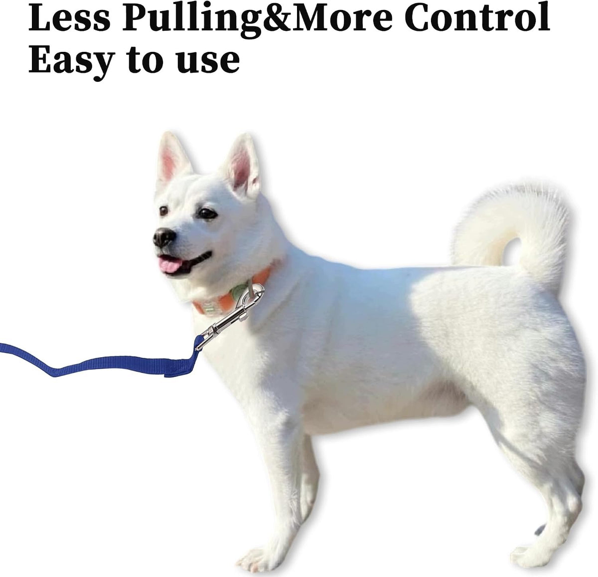 STRONG TRAINING LEASH FOR DOG AND PUPPY WITH FOAM HANDLE BLUE 6m Packaging status original