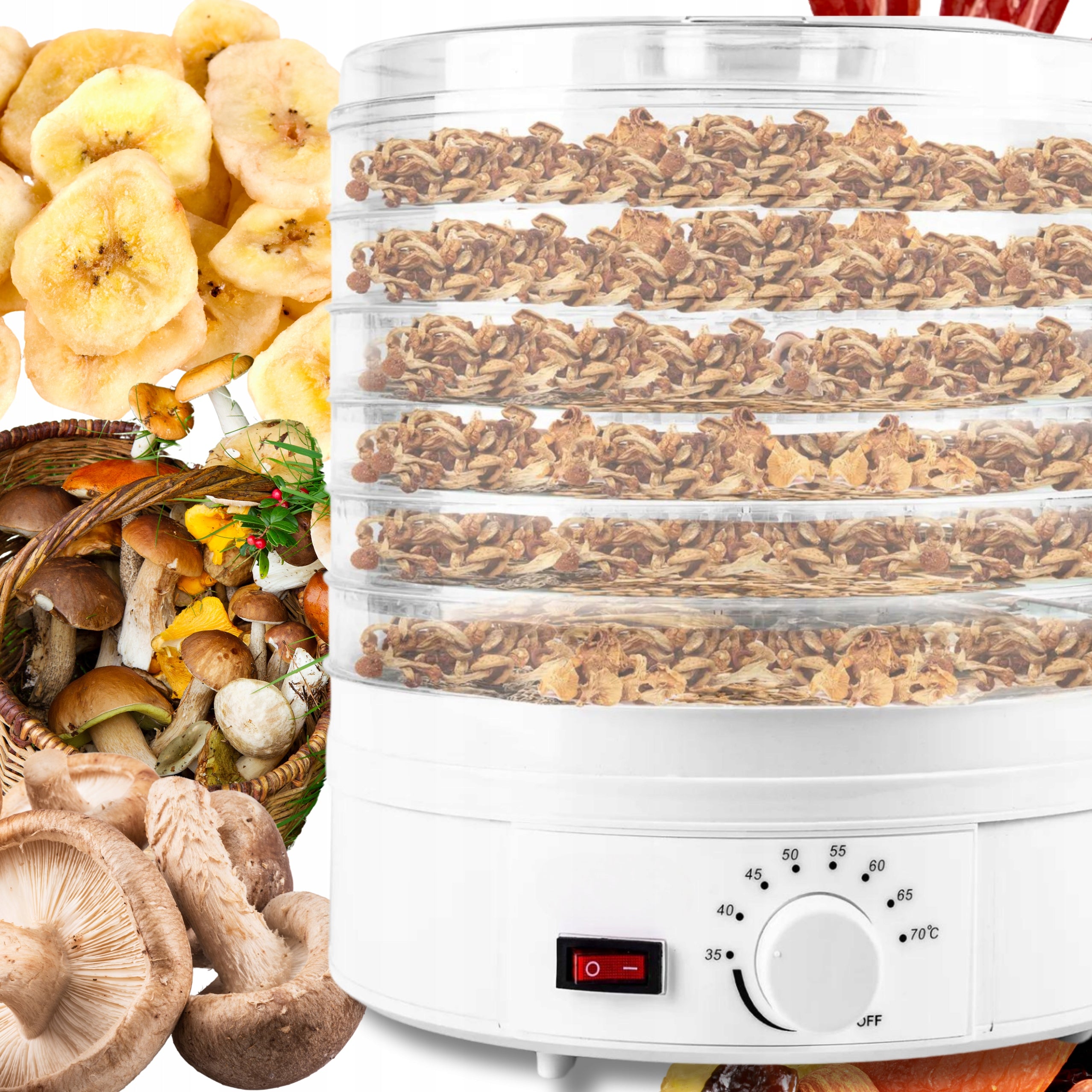STRONG VEGETABLE FRUIT MUSHROOM HERB DRYER 500W EAN (GTIN) 6974903380108