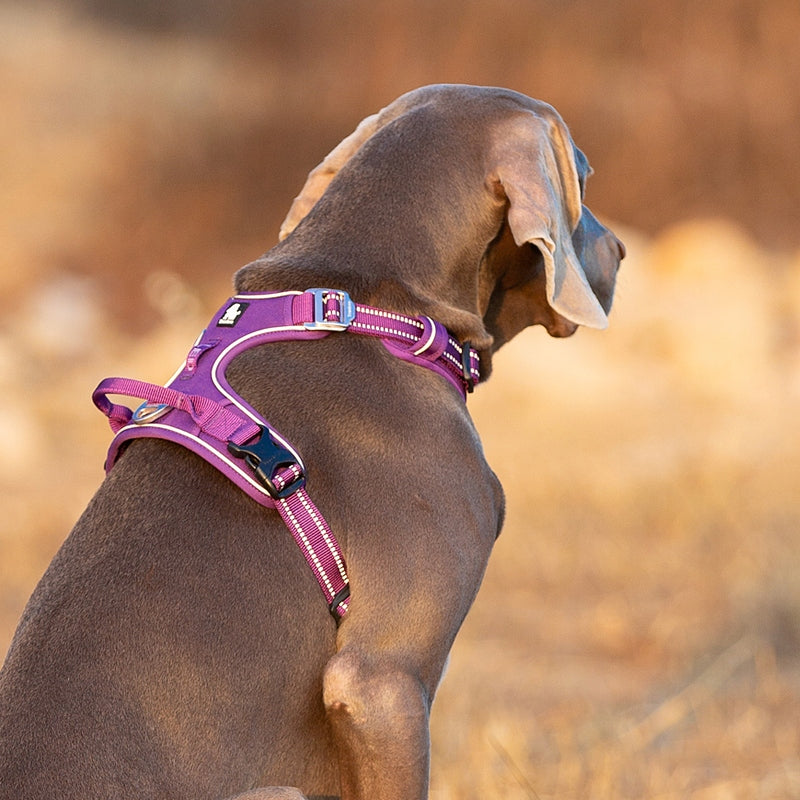 STRONG dog harness Truelove Front Line Premium L Kind training / easy walk