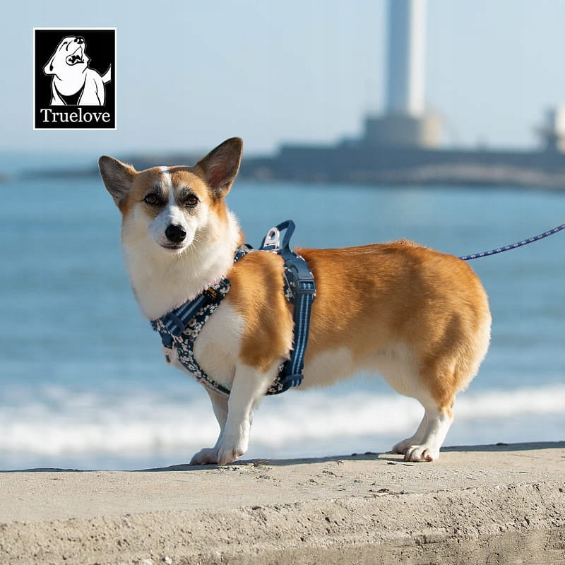 STRONG harness guard for dog pulling easy-walk TRUELOVE Blossom S dachshund Dog size small dog