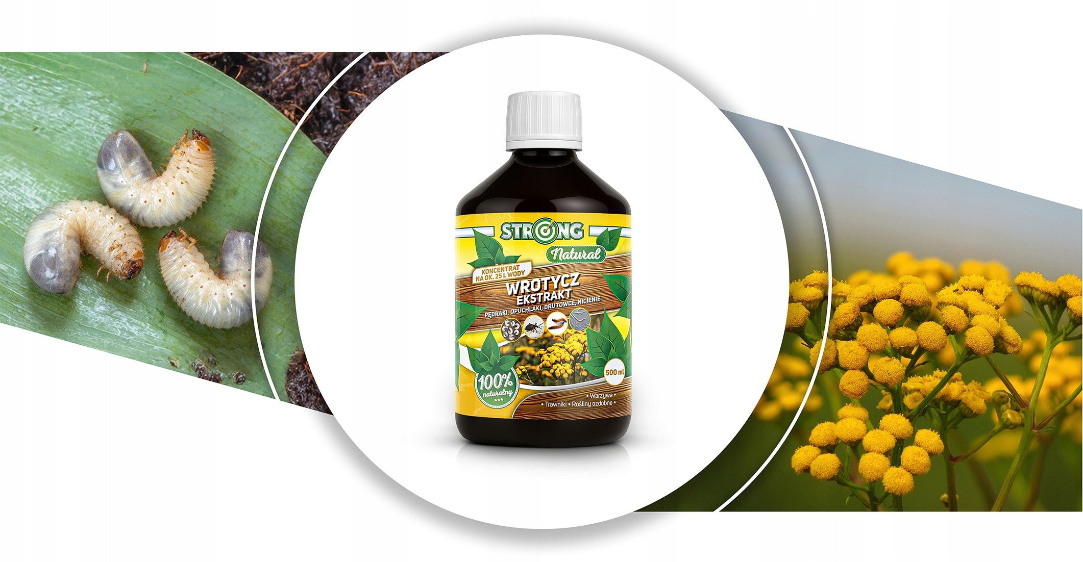 STRONG plant protection liquid Tansy 500 ml Manufacturer Strong