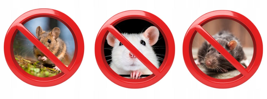 STRONGEST POISON FOR MICE RATS 1 KG PASTE Batteries included no