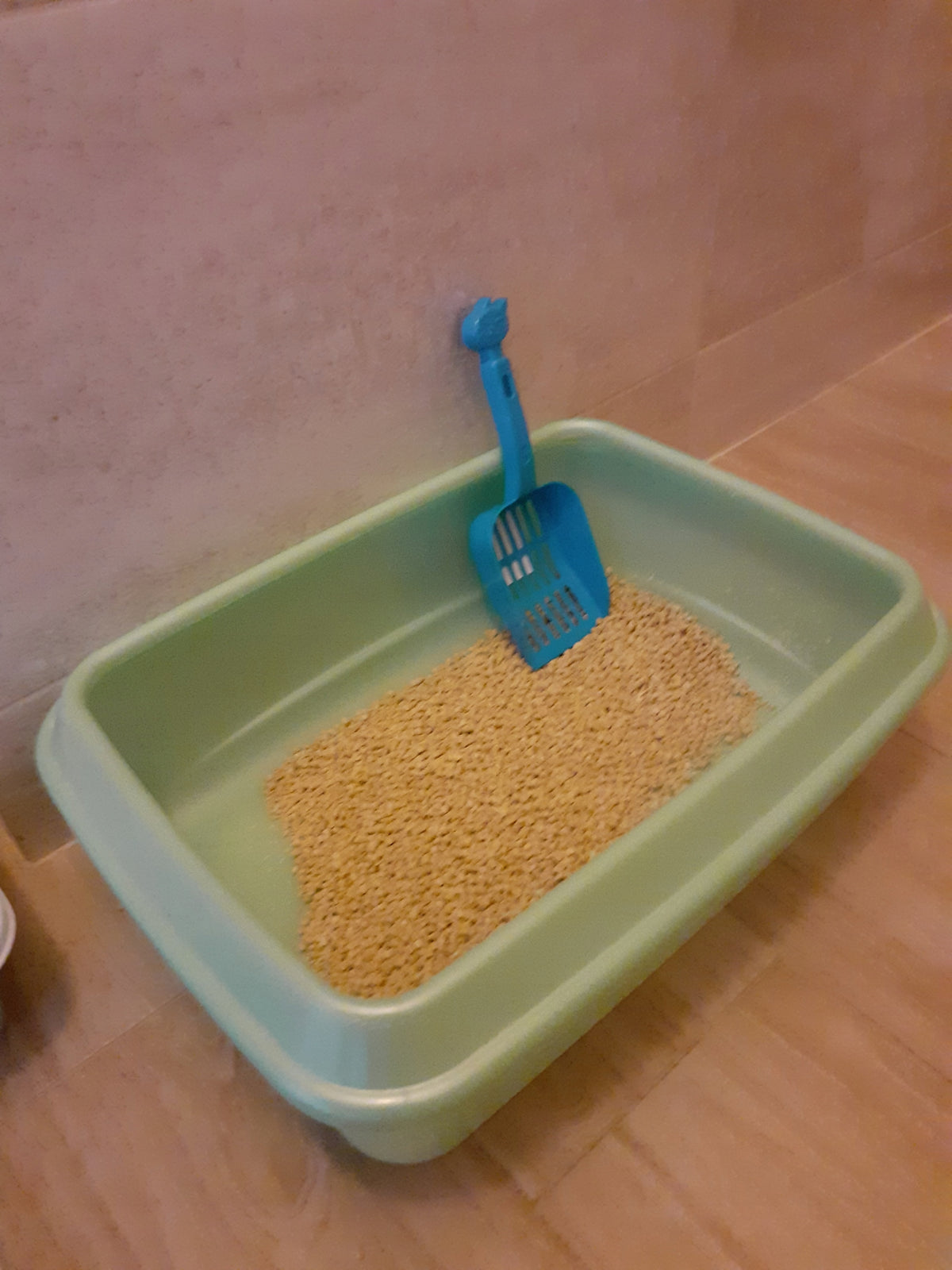 STURDY Spatula Cuvette Drawer Gravel for Cat Rabbit Color blue